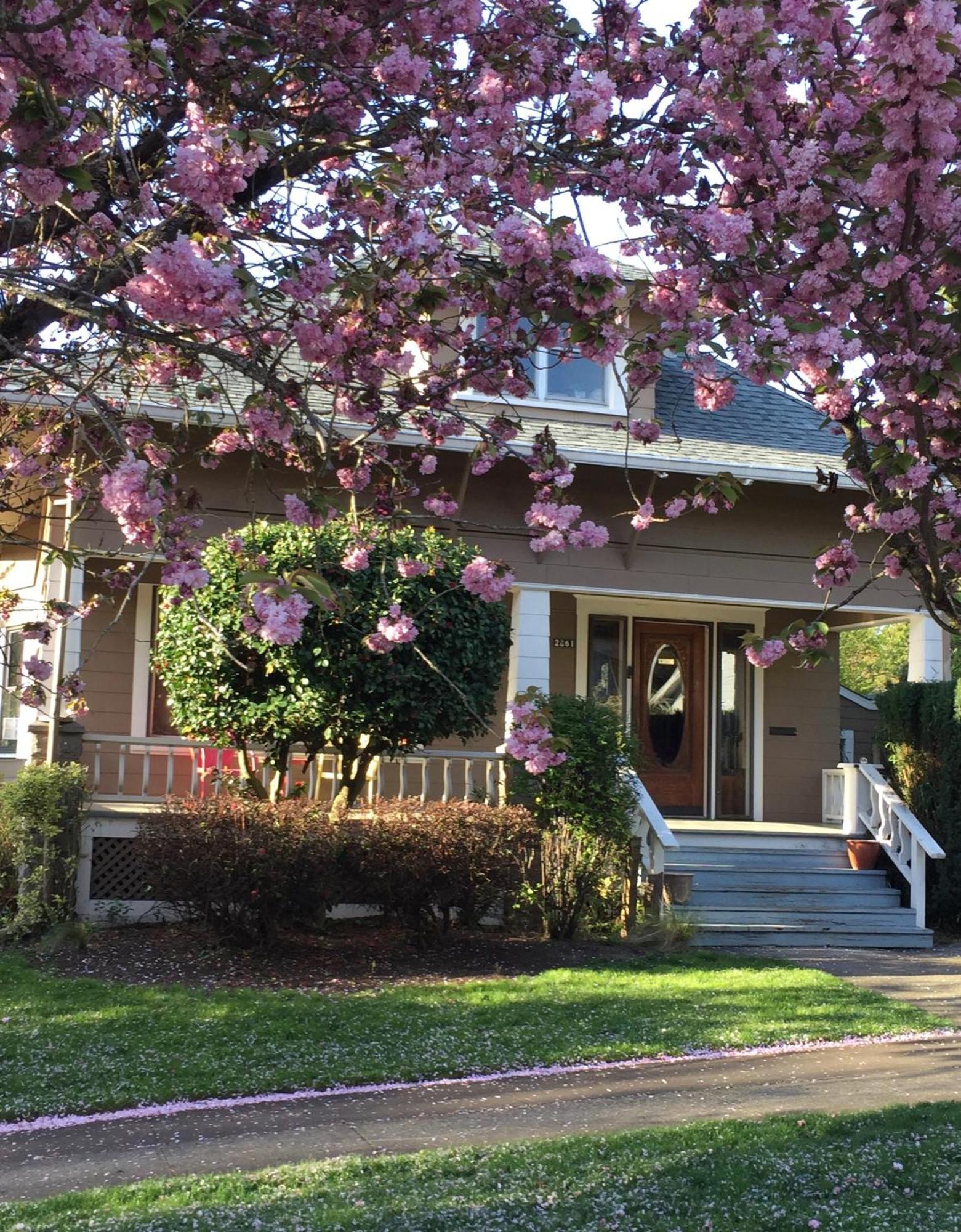 Southeast Portland Comfy & Eclectic Craftsman Home Exterior photo