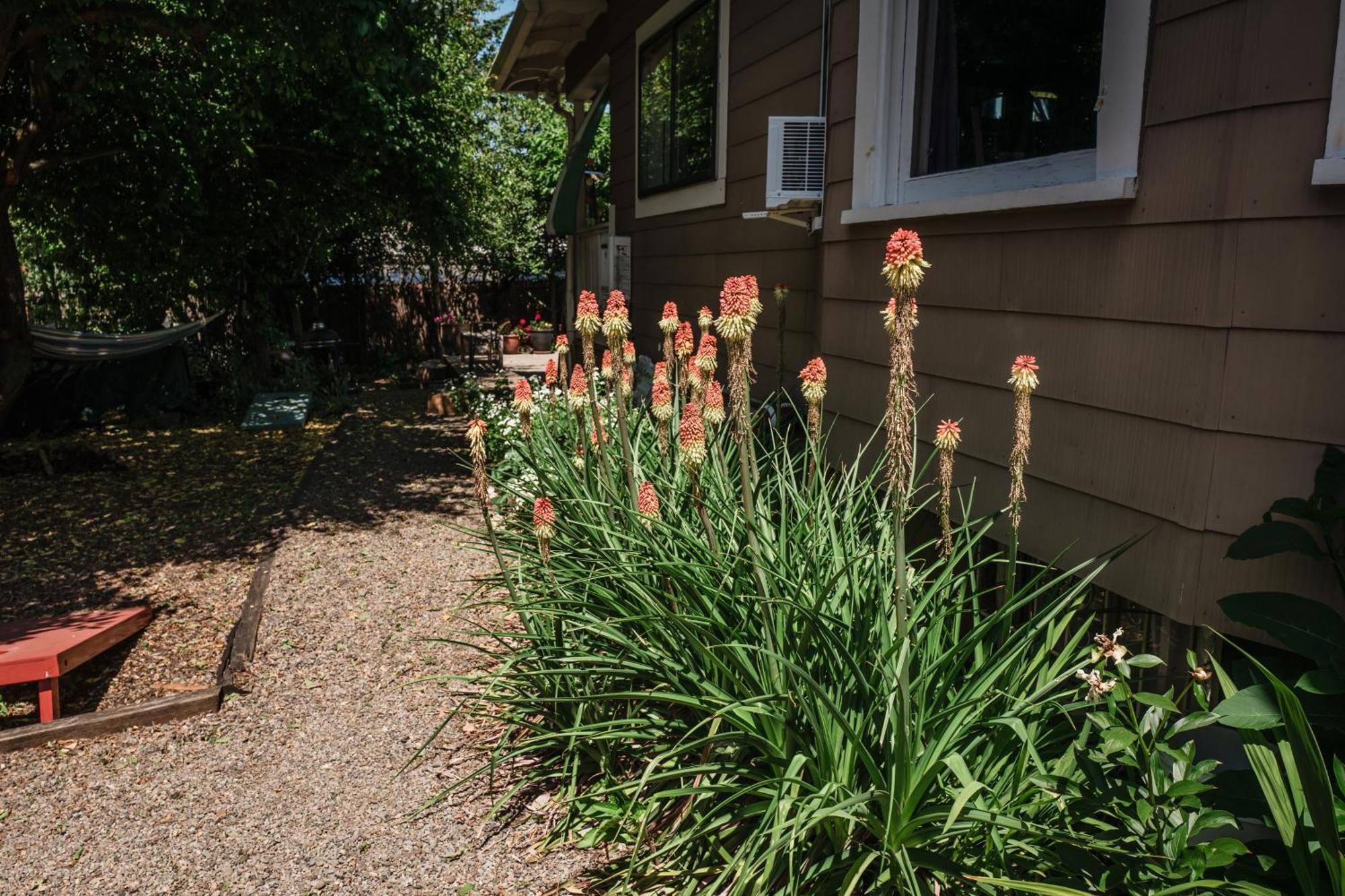 Southeast Portland Comfy & Eclectic Craftsman Home Exterior photo